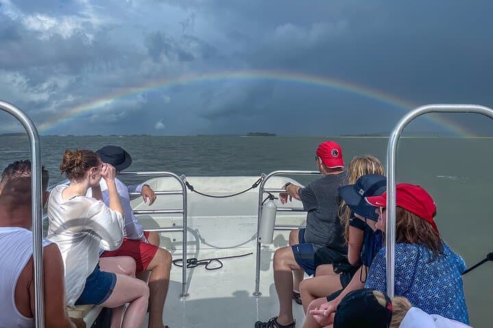 Hilton Head Outback Boat and Kayak Adventure — Page Island to Daufuskie Marshes photo 5