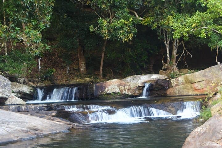 Diyaluma Falls Day Hike and Natural Pool Swim from Ella photo 5