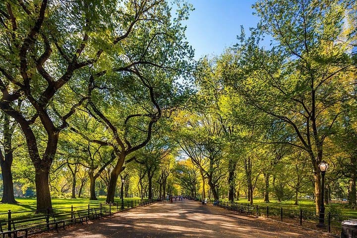 New York Half-Day Walking Tour: Lincoln Center, Central Park & The Met photo 4