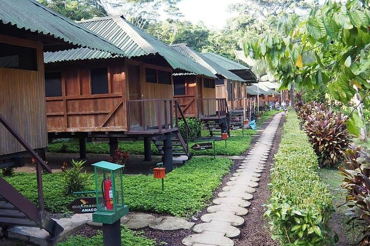 3-Day Tambopata National Reserve: Amazon Wildlife and Jungle Lodge Expedition photo 2