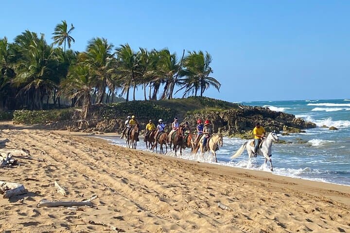 Beach Horseback Riding in Punta Cana: Uvero Alto Ranch Adventure photo 3
