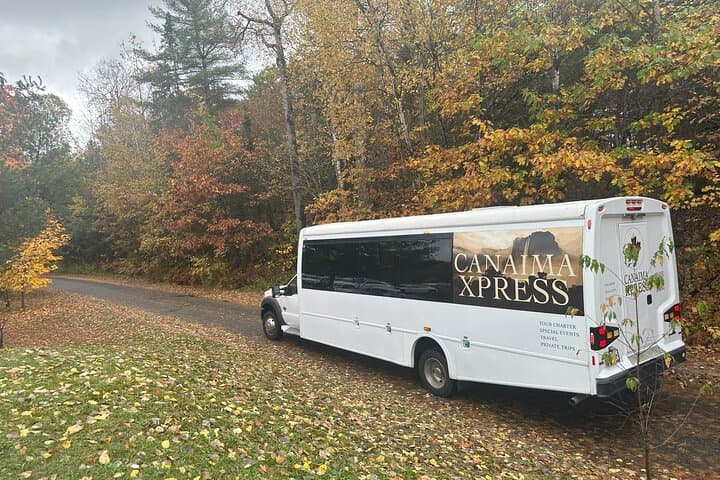 Explore Algonquin Provincial Park: A Full-Day Immersion into Ontario’s Wilderness photo 4