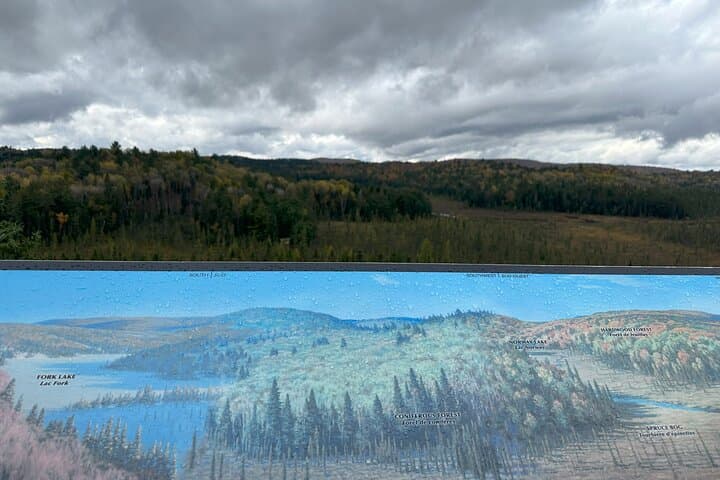 Explore Algonquin Provincial Park: A Full-Day Immersion into Ontario’s Wilderness photo 3