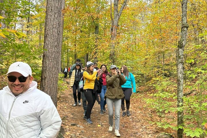 Explore Algonquin Provincial Park: A Full-Day Immersion into Ontario’s Wilderness photo 5