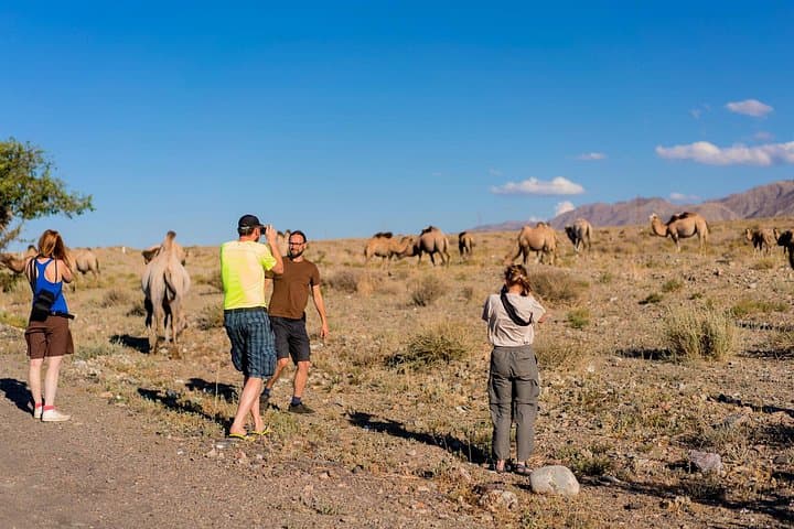 Daan Viljoen Sunrise Wildlife Hike: Private Morning Tour from Windhoek photo 3