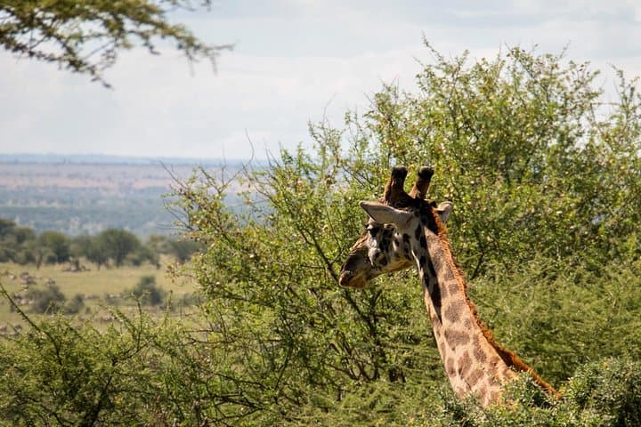 Daan Viljoen Sunrise Wildlife Hike: Private Morning Tour from Windhoek photo 1