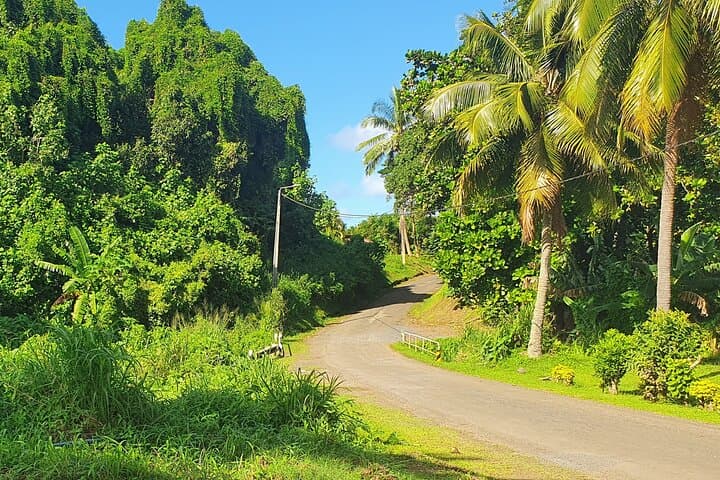 Cycle Rarotonga’s Back Road: Village Ride, Mountain Views & Lunch photo 6