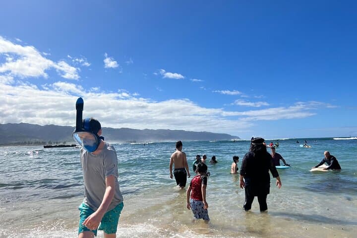 Circle Island Full-Day Tour of Oahu: Snorkel Turtle Town, North Shore & Diamond Head photo 3