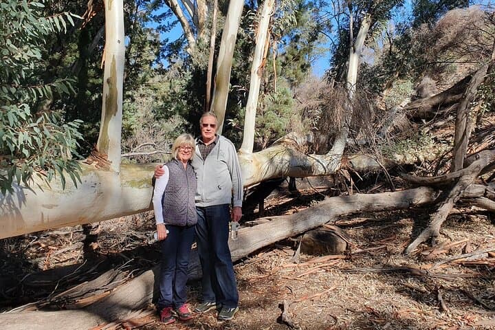 Flinders Ranges 5-Day Eco 4WD Safari from Adelaide — Arkaroola to Wilpena Pound photo 4