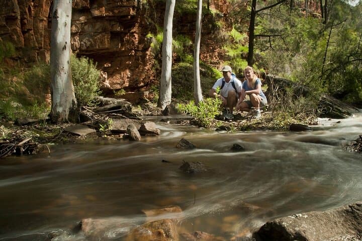 Flinders Ranges 5-Day Eco 4WD Safari from Adelaide — Arkaroola to Wilpena Pound photo 5