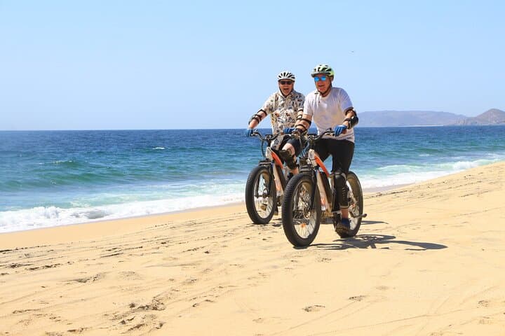 Cabo Electric Bike & Camel Ride: Beach E-Bike, Whales and Mexican Buffet photo 4