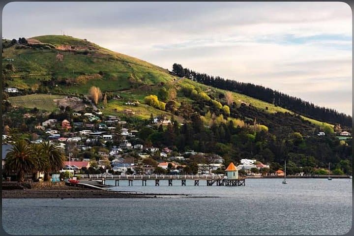Akaroa Day Tour from Christchurch: Banks Peninsula Views & Hector's Dolphins Cruise photo 2