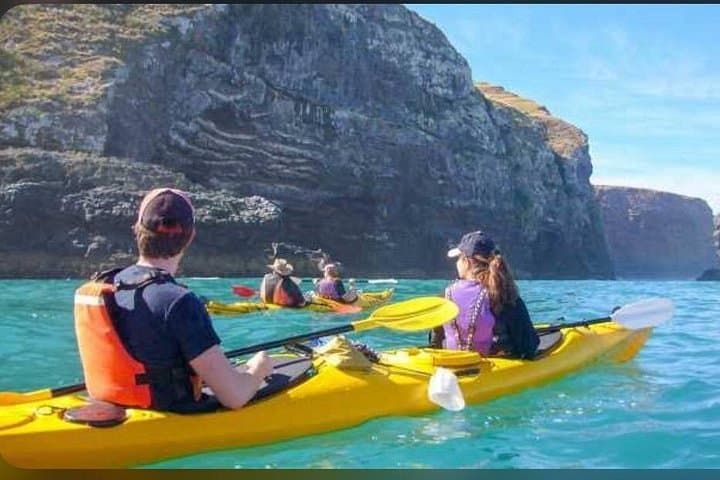 Akaroa Day Tour from Christchurch: Banks Peninsula Views & Hector's Dolphins Cruise photo 3