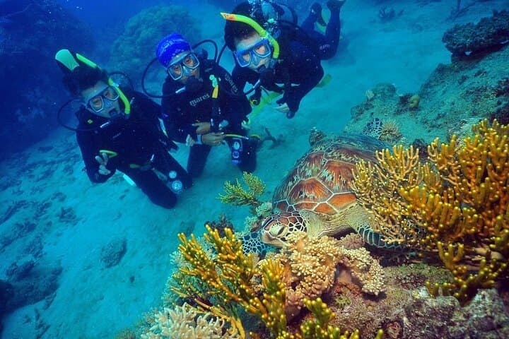 Wunyami Cultural Tour on Green Island — Indigenous-led Reef & Island Experience photo 4