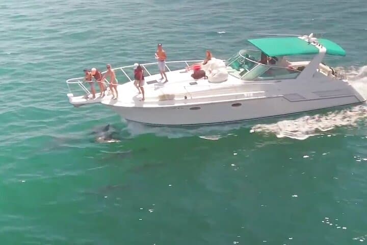 Private Birthday Yacht Charter in Long Beach — Harbor Cruise & Sea Life Viewing photo 1