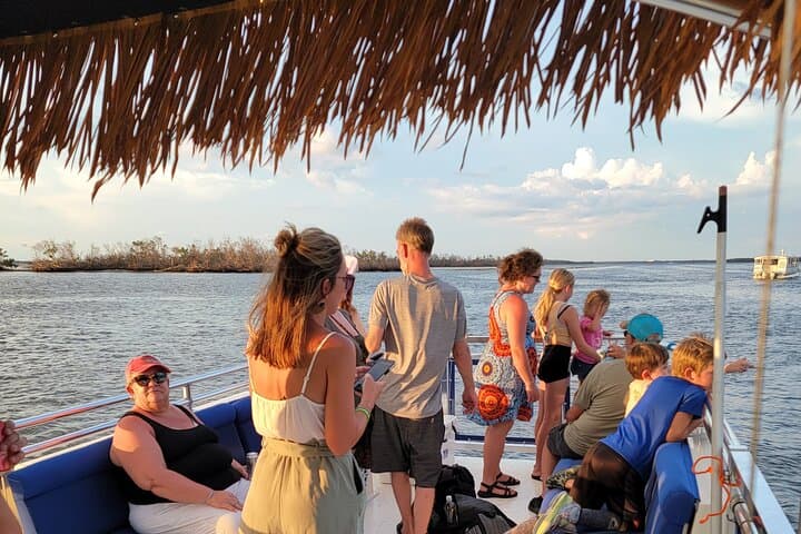 Fort Myers Beach Dolphin & Sightseeing Tiki Cruise — 90-Minute Mangrove & Mound Key Tour