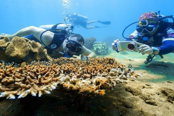 Cham Islands Speedboat Snorkeling from Da Nang: Island-Hopping & BBQ Lunch photo 2