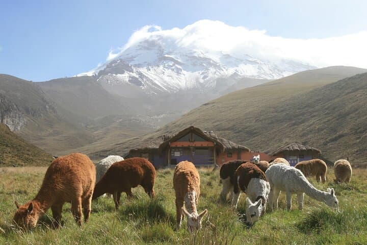 6-Day Ecuador Andes to Amazon Adventure: Quilotoa, Chimborazo & Napo River photo 3