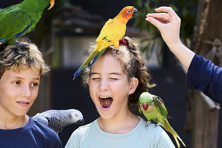 Maleny Botanic Gardens Bird Aviary Experience — Up-Close Aviary Encounters Near the Glass House Mountains photo 2