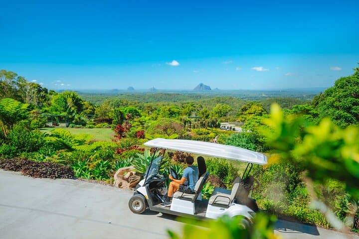 Maleny Botanic Gardens Bird Aviary Experience — Up-Close Aviary Encounters Near the Glass House Mountains photo 4