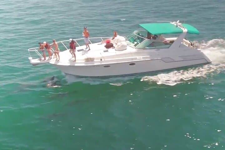 Long Beach Private Yacht Night Cruise: 1-Hour Romantic & Sea Life Experience photo 2
