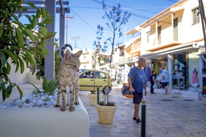 Canal d'Amour, Kassiopi & Barbati Beach Day Trip from Corfu photo 3