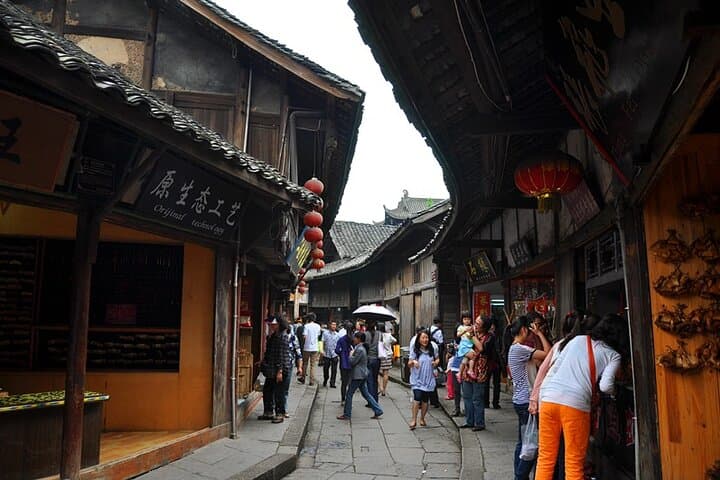 Chengdu to Leshan: Panda Base and Giant Buddha One-Day Private Tour photo 3