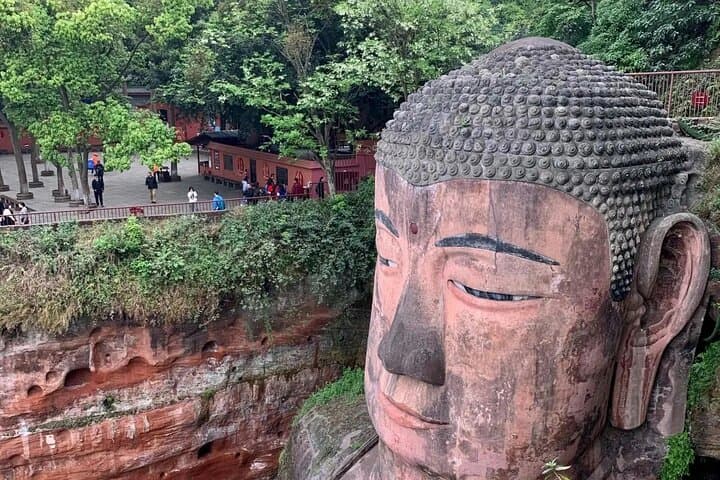 Chengdu to Leshan: Panda Base and Giant Buddha One-Day Private Tour photo 2
