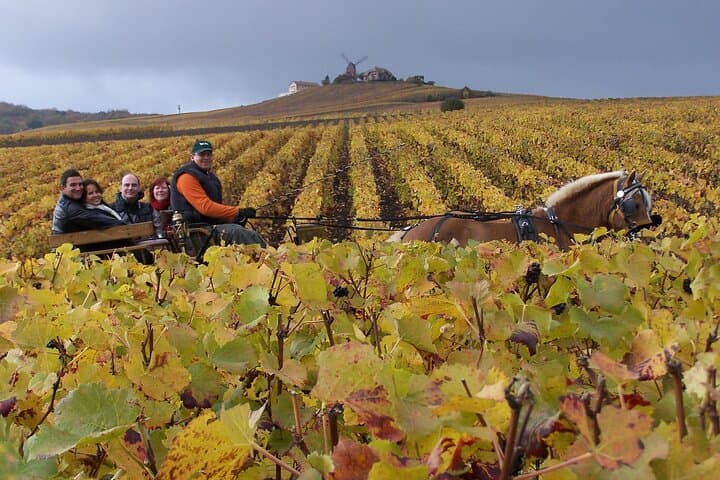 Full-Day Champagne Tour from Paris: Vineyards, Reims Cathedral & Pommery