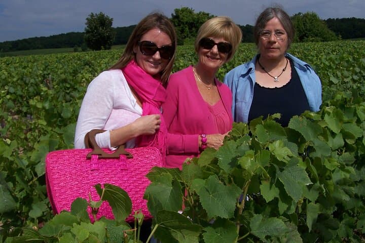 Full-Day Champagne Tour from Paris: Vineyards, Reims Cathedral & Pommery photo 5