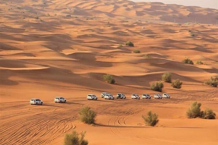 Dubai Desert Safari with BBQ, Camel Ride & Dune Bashing