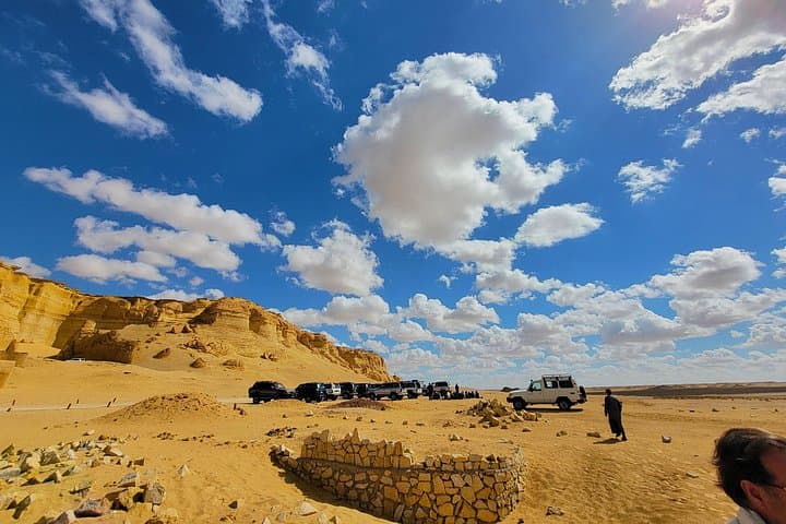 Faiyum Oasis Day Trip: Wadi El Rayan, Qarun Lake & Wadi Al-Hitan Whale Valley photo 3