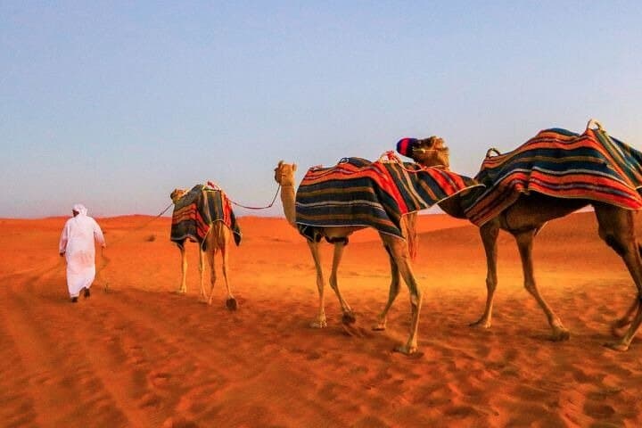 Dubai Red Dune Desert Safari with Dinner — Evening Dune Bashing & Bedouin Camp Experience photo 6