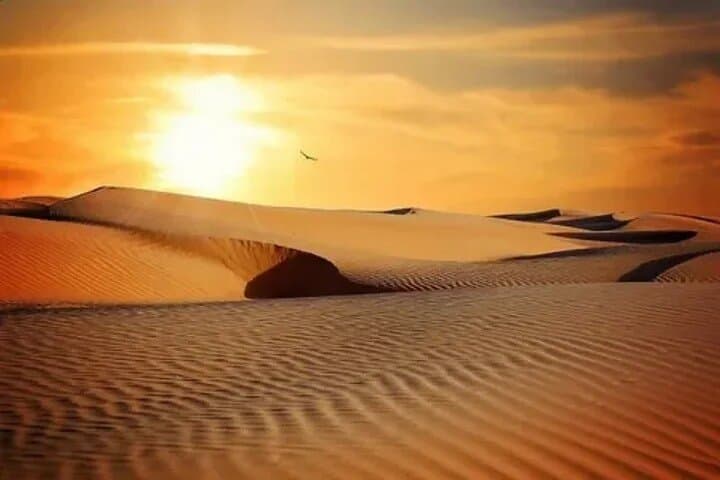 Dubai Red Dune Desert Safari with Dinner — Evening Dune Bashing & Bedouin Camp Experience photo 4