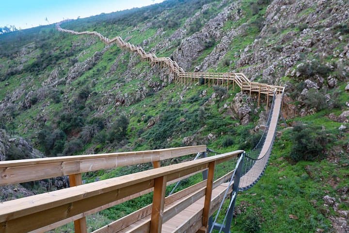 Algarve Mountains Tour: Monchique Hike, Barranco do Demo Boardwalk & Vineyard Lunch photo 4