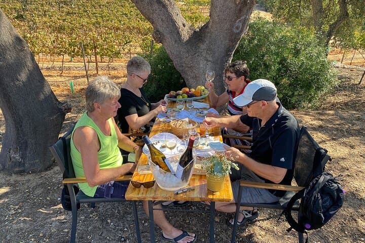 Seven Hanging Valleys Hike and Vineyard Lunch — Algarve Day Tour photo 6