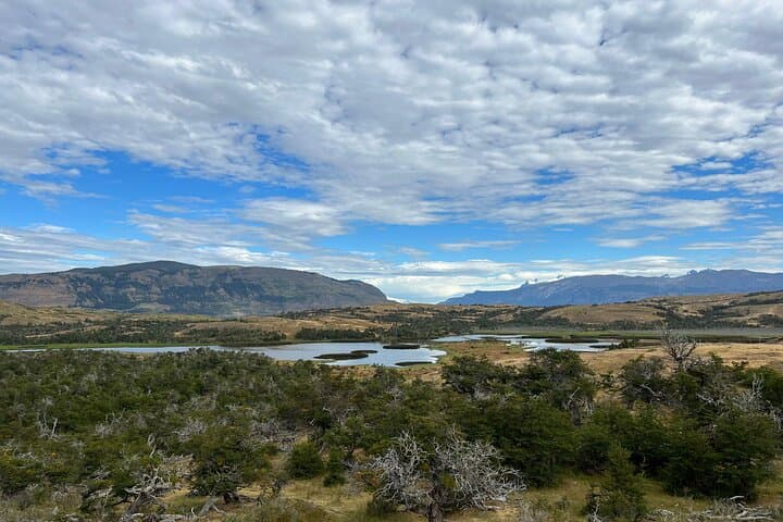Private Bird-Watching in Cerro Castillo: 7 km Guided Hike in Patagonia photo 3