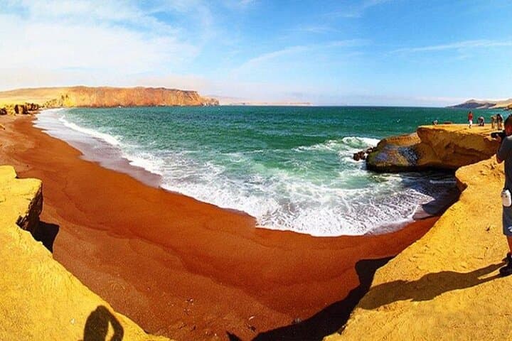Paracas National Reserve Bus Tour: Beaches, Red Sands & Coastal Wildlife