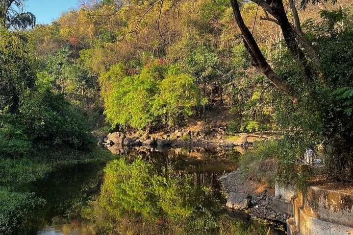 Sanjay Gandhi National Park and Kanheri Caves Day Tour from Mumbai