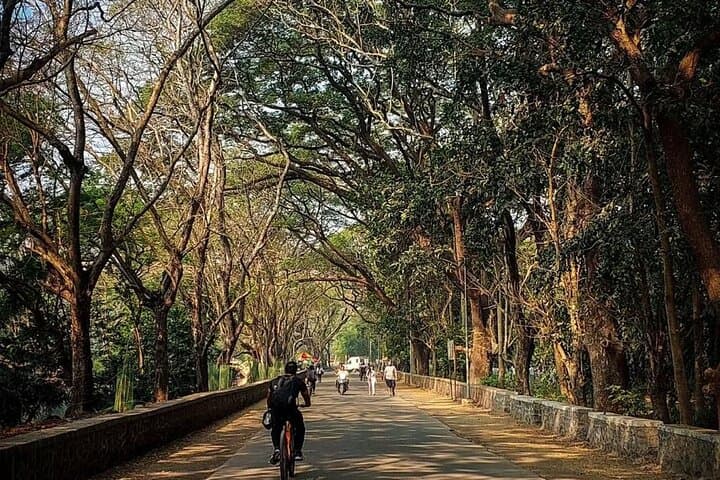 Sanjay Gandhi National Park and Kanheri Caves Day Tour from Mumbai photo 2