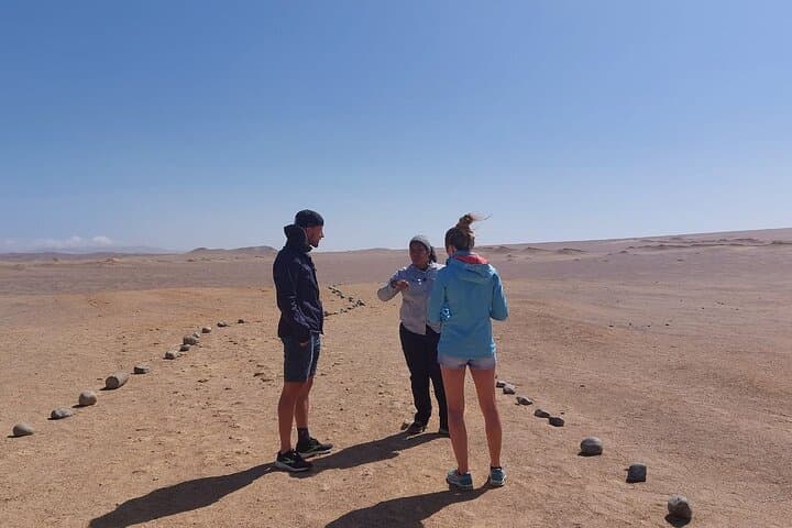 Paracas National Reserve Half-Day Tour: Beaches, Cliffs & Wildlife photo 4
