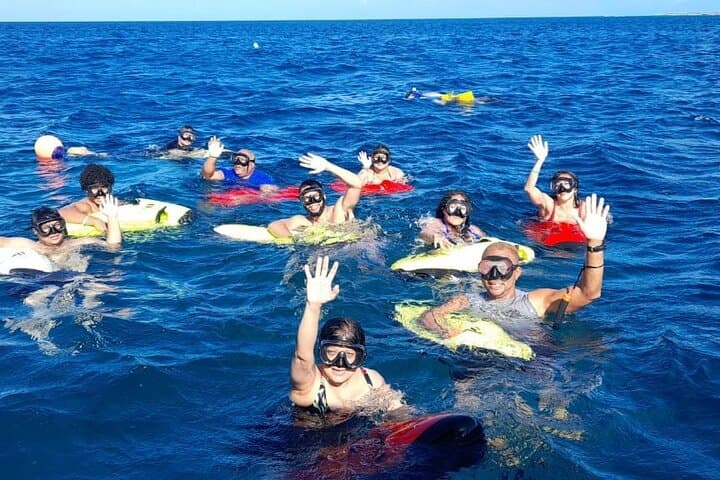 glide-with-turtles-on-aruba-seabob-scooter-reef-tour photo 5