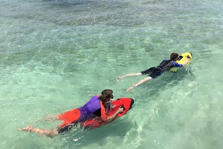 glide-with-turtles-on-aruba-seabob-scooter-reef-tour photo 6