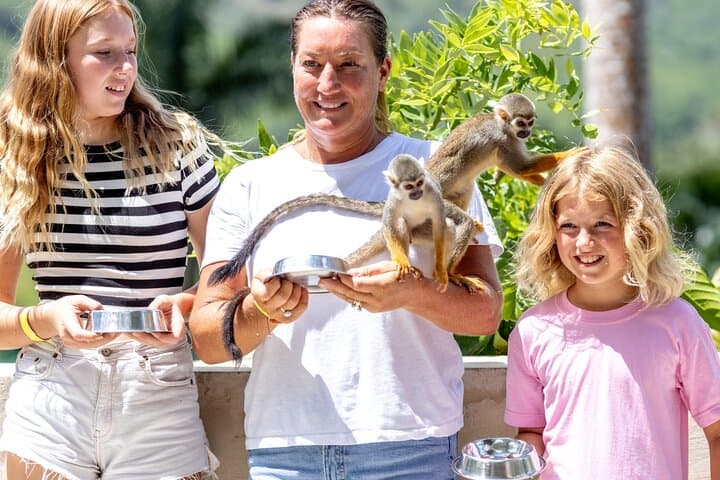 Monkeyland Samaná Shared Adventure: Up-Close Squirrel Monkey Encounter photo 6