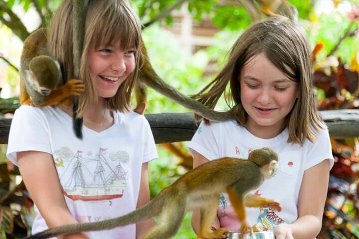 Zipline and Monkeyland Punta Cana: One-Day Adventure with Wildlife Interaction