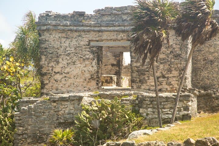 Full-Day Tulum Ruins, Cenote Swim & Akumal Sea Turtle Snorkel photo 4