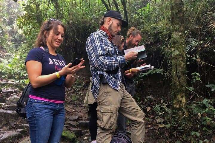 Cloud-Forest Birding & Biodiversity Walk in Chicaque Natural Park photo 4