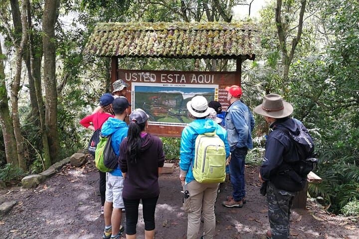Cloud-Forest Birding & Biodiversity Walk in Chicaque Natural Park