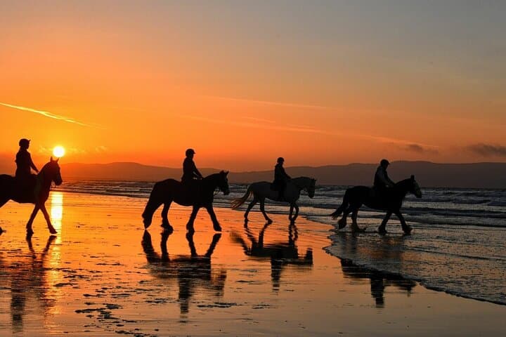 Agadir & Taghazout Beach Horseback Riding — Sunrise and Sunset Coastal Rides photo 4