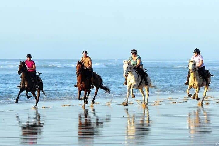 Agadir & Taghazout Beach Horseback Riding — Sunrise and Sunset Coastal Rides photo 2